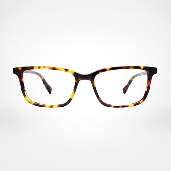 Wells/Classic Tortoise Blue Light Glasses